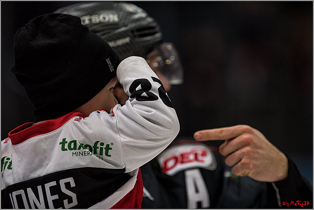 DEL, Koelner Haie - Fishtown Pinguins Bremerhaven, 29.01.2017